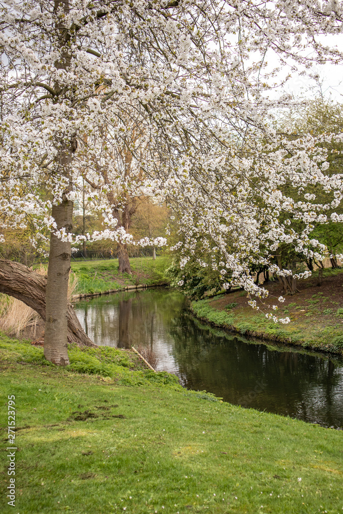 London, England - APRIL 3, 2019: Regent's Park in London London, England - APRIL 3, 2019: Regent's Park in London