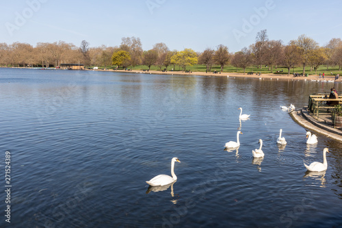 Hyde Park in London  England