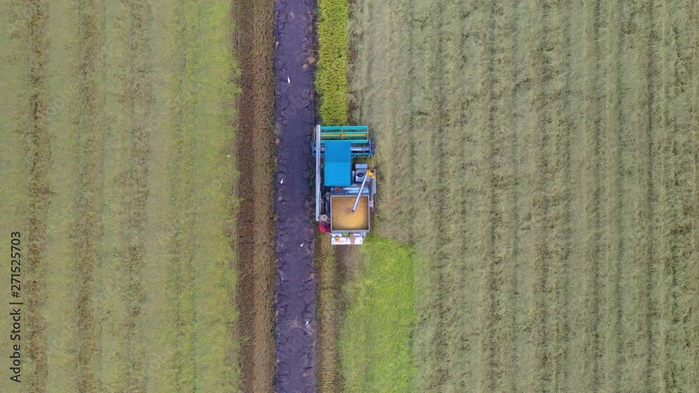 Aerial top view of Harvester machine working in rice field from above Aerial top view of Harvester machine working in rice field from above