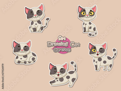 Photography Set Cute Cartoon Cat Sticker
