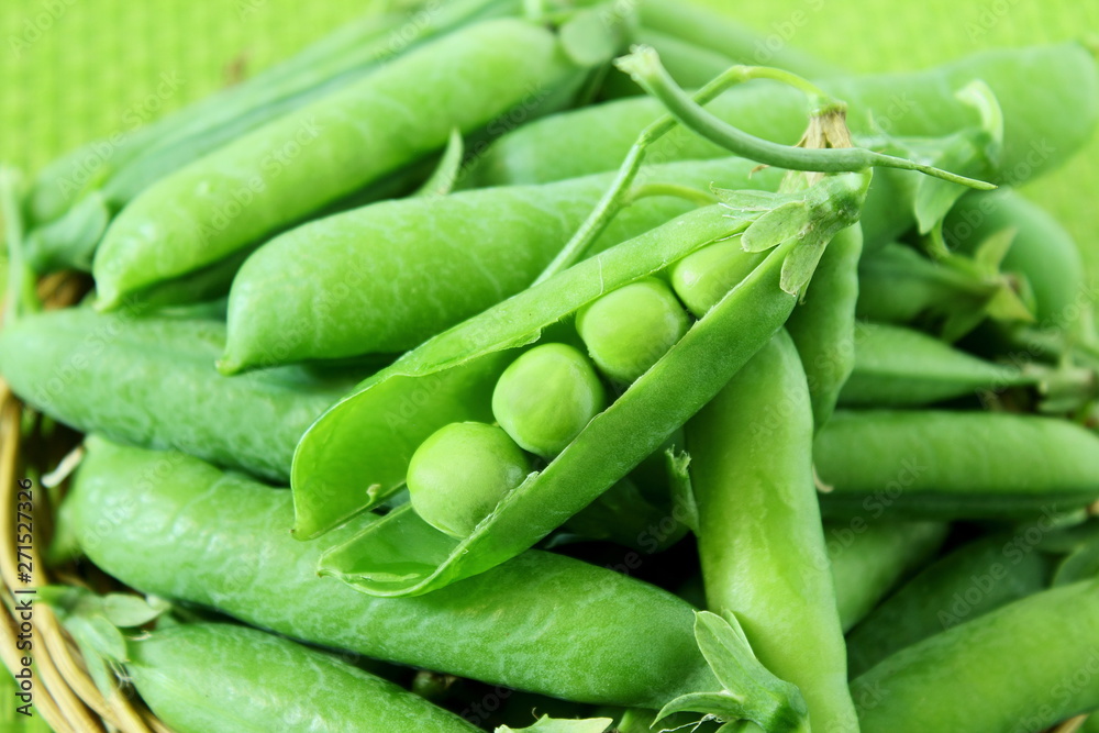 fresh open green pea pods and green peas isolated on green background fresh open green pea pods and green peas isolated on green background
