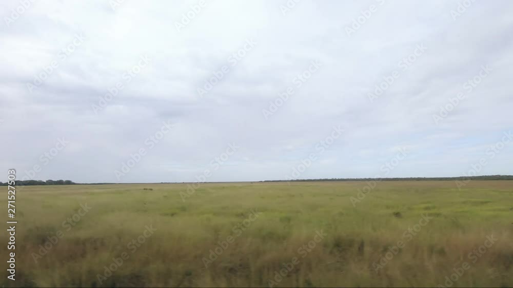 POV from moving vehicle right to left of screen along wetlands Kakadu National Park POV from moving vehicle right to left of screen along wetlands Kakadu National Park