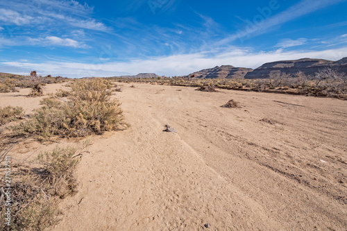 Dry Flood Plain in the Mojave Desert