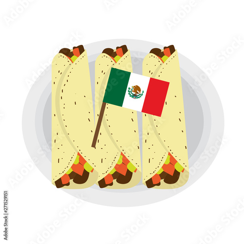 Meat fajitas with a flag of Mexico. Traditional mexican food - Vector