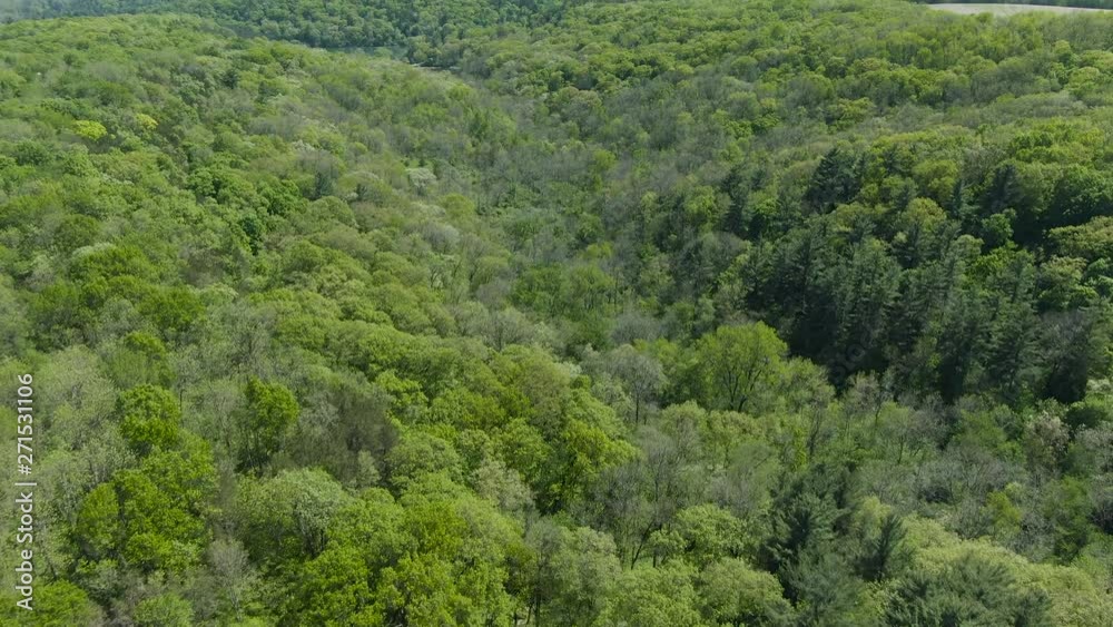 Aerial rising tilt shot over a mountainous ground covered in thick evergreen foliage. It's a bright and warm summer afternoon in the mountains of Wisconsin, USA. Aerial rising tilt shot over a mountainous ground covered in thick evergreen foliage. It's a bright and warm summer afternoon in the mountains of Wisconsin, USA.