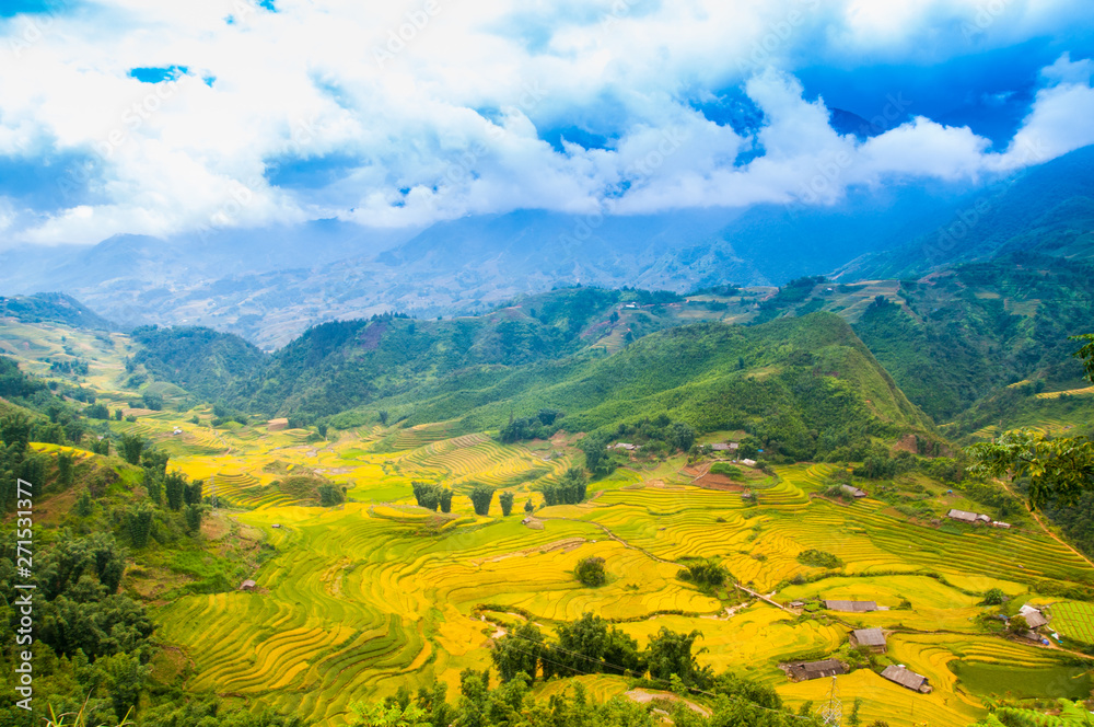 Naklejka premium Rice fields on terraced of Mu Cang Chai, YenBai, Vietnam. Vietnam landscapes.