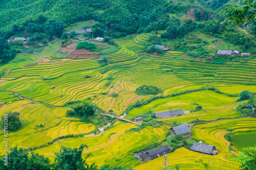 Rice fields on terraced of Mu Cang Chai, YenBai, Vietnam. Vietnam landscapes.