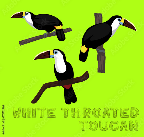 Bird White Throated Toucan Cartoon Vector Illustration