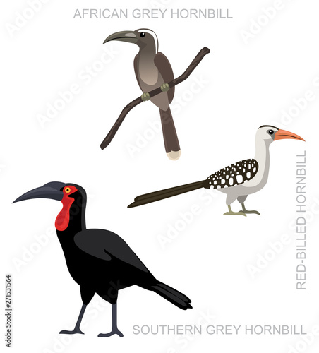 Bird African Ground Hornbill Set Cartoon Vector Illustration