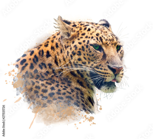 Portrait of Leopard .Watercolor illustration