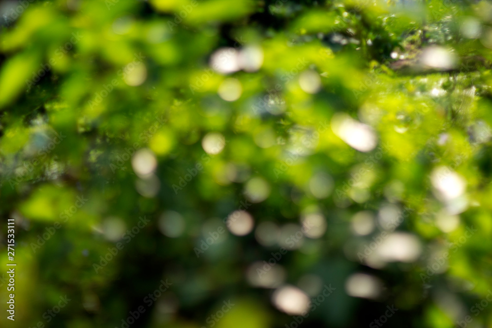 bokeh green background , abstract green background bokeh green background , abstract green background