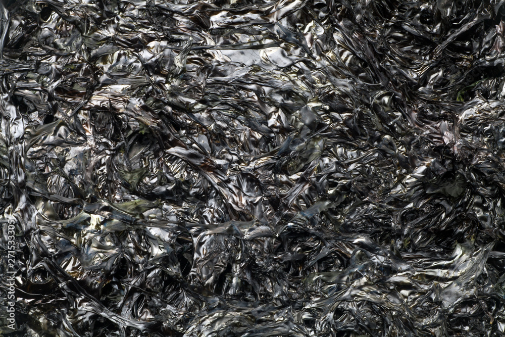 Chinese dried laver texture. Healthy food background Chinese dried laver texture. Healthy food background