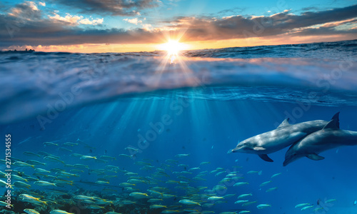 Beautiful tropical sea underwater background with traveling dolphins in blue water © willyam