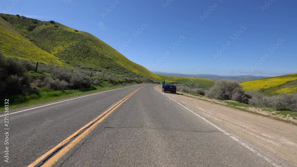 Carrizo Plain Highway 58 West Bound Super Bloom Driving Plate Carrizo Plain Highway 58 West Bound Super Bloom Driving Plate