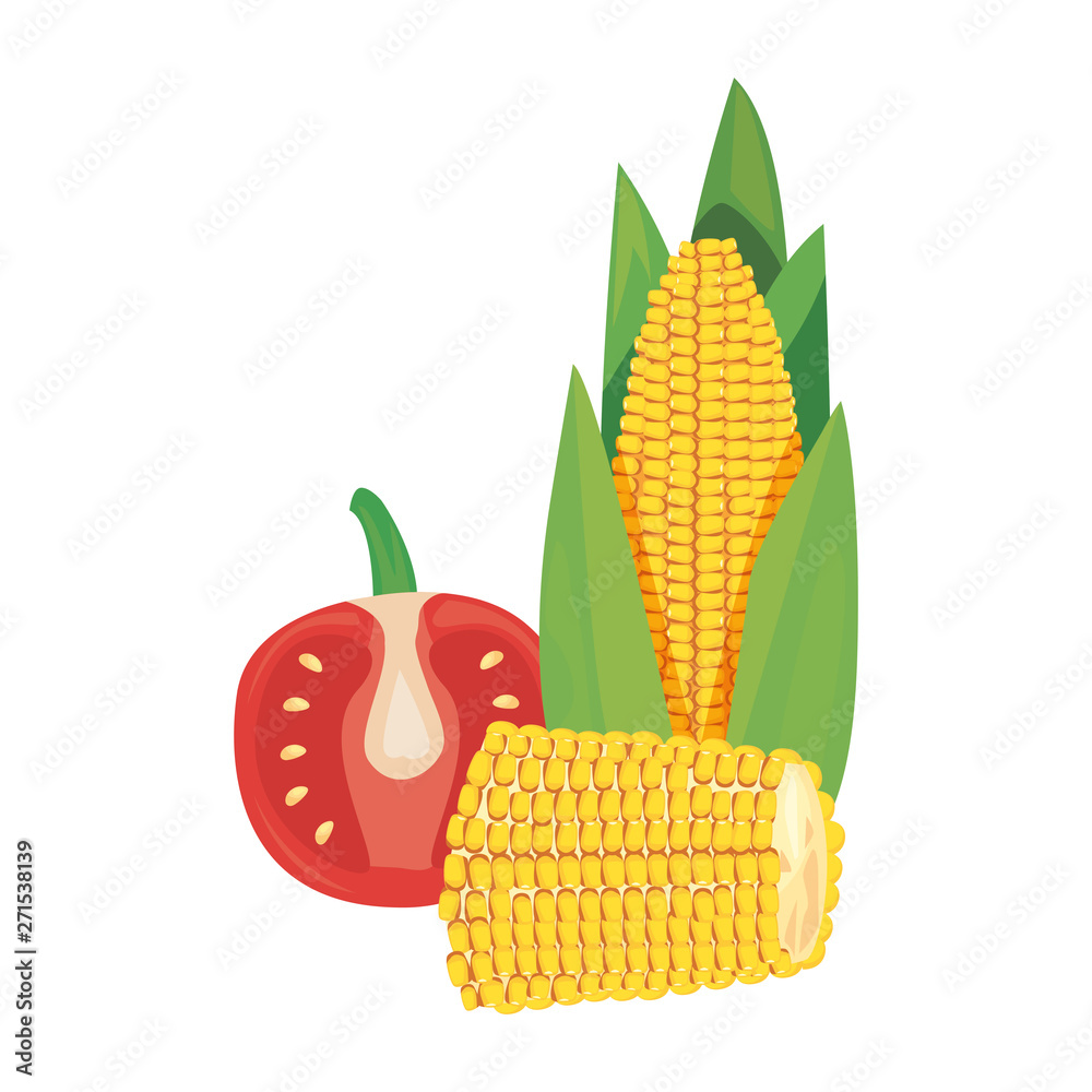 Obraz premium corn tomato fresh food icon vector ilustrate
