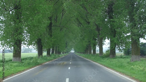 The road between Enisala and Jurilovca, Tulcea county, Romania photo