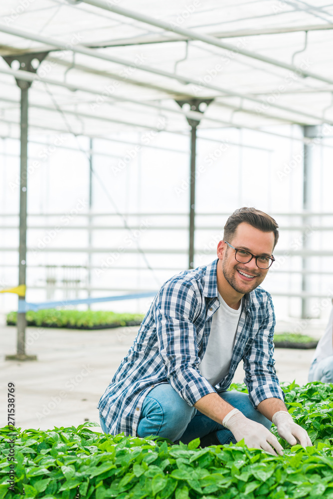Portrait of a young farmer working at hydroponic greenhouse farm. Portrait of a young farmer working at hydroponic greenhouse farm.