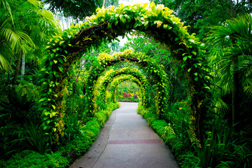 Keuken achterwand Tuin Botanische tuin van Singapore  © Adwo