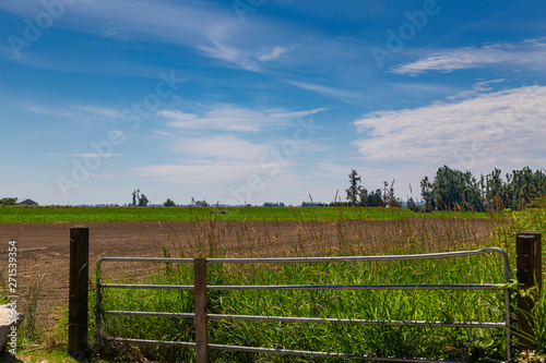 fence in a field