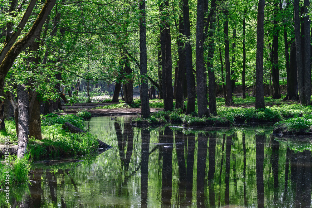 Small lake in the city surrounded by trees. Spring. Reflection of trees in the water. Small lake in the city surrounded by trees. Spring. Reflection of trees in the water.