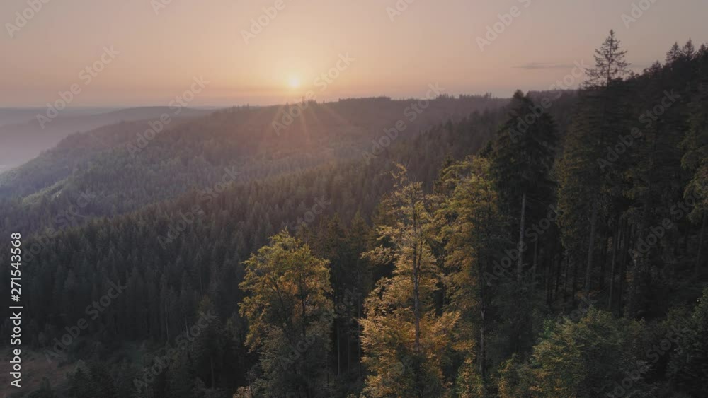 Moody view at sunrise in german black forest.