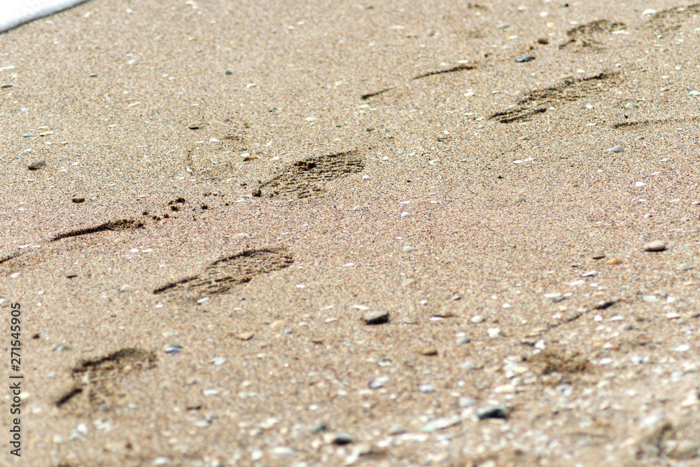 Footprints from shoes in the sand. Traces of shoes. Sand and seashell Footprints from shoes in the sand. Traces of shoes. Sand and seashell