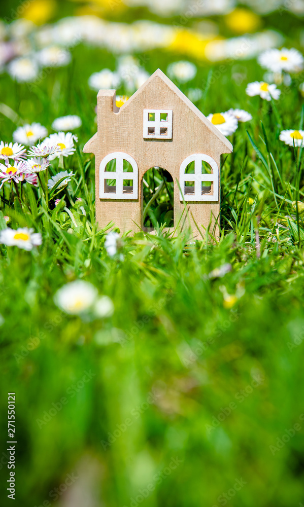 The symbol of the house stands among white daisies The symbol of the house stands among white daisies