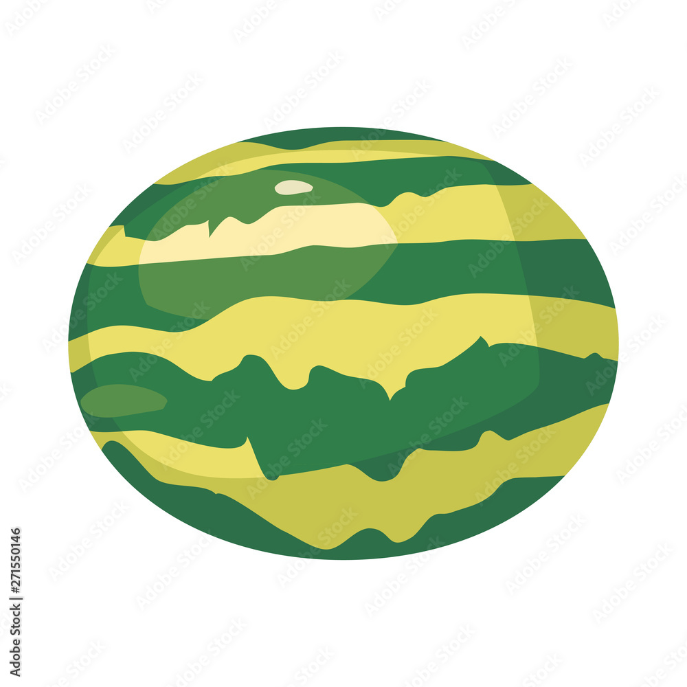 watermelon nutrition fresh fruit icon vector ilustrate watermelon nutrition fresh fruit icon vector ilustrate