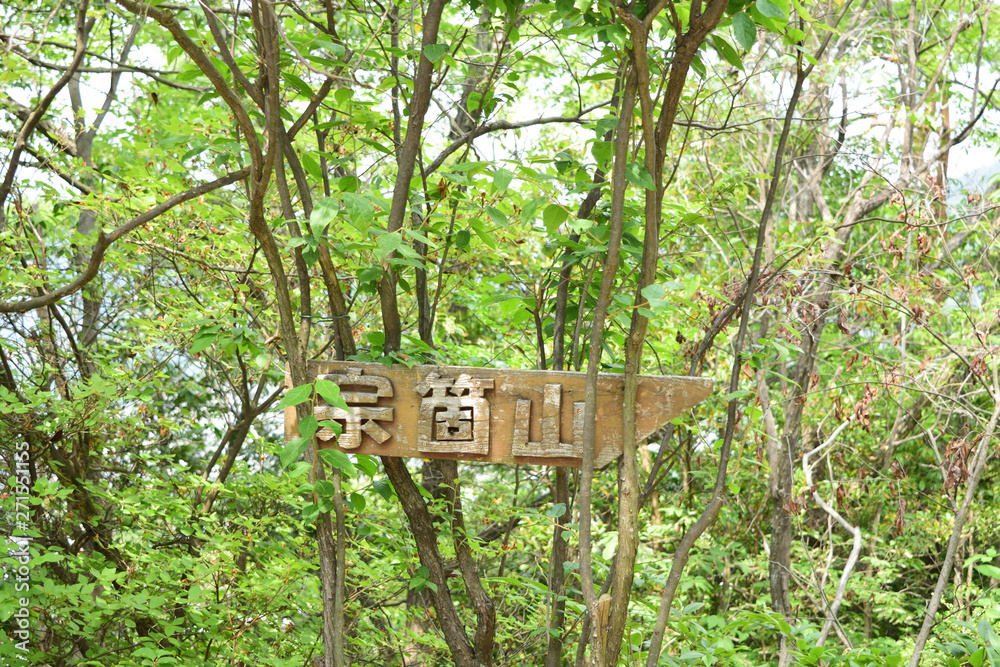 山の中の緑に囲まれた看板 山の中の緑に囲まれた看板