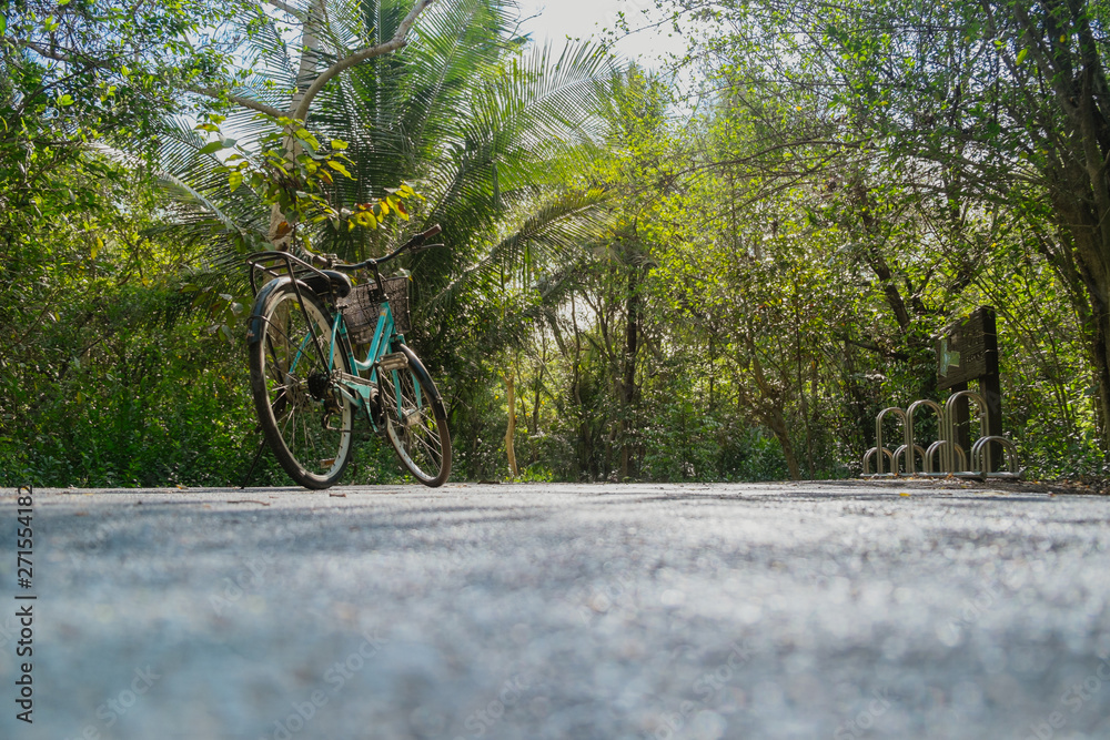 Fototapeta premium Low angle view of a bike parking on an empty road surrounded by lush green foliage in tropical forest in summer.