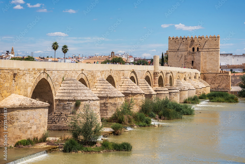 Cordoba, Spain. The Roman bridge and Calahorra tower .