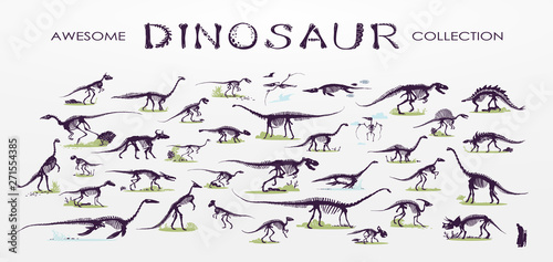 Set  silhouettes  dino skeletons  dinosaurs  fossils. Hand drawn vector illustration. Comparison of sizes  realistic Sketch collection  a  triceratops  tyrannosaurus  doodle pattern 