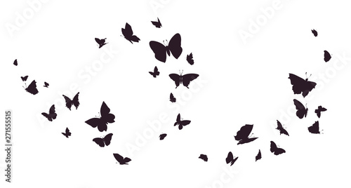 Set of butterflies, ink silhouettes. Glowworms, fireflies and butterflies icons isolated on white background. Hand drawn elements, Vector illustration.