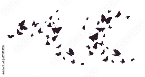 Set of butterflies, ink silhouettes. Glowworms, fireflies and butterflies icons isolated on white background. Hand drawn elements, Vector illustration. © Gluiki