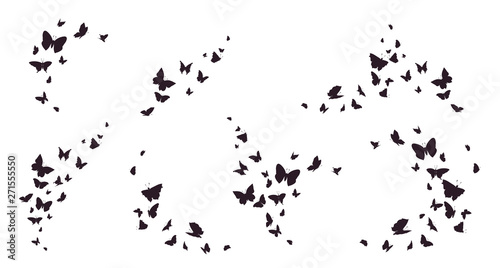 Set of butterflies, ink silhouettes. Glowworms, fireflies and butterflies icons isolated on white background. Hand drawn elements, Vector illustration.