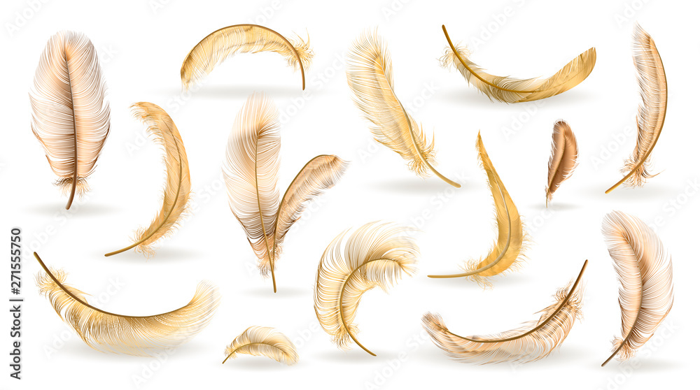 Vector feathers collection, set of different falling fluffy twirled feathers, isolated on transparent background. Realistic style, vector 3d illustration - obrazy, fototapety, plakaty 