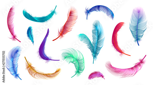Obraz na płótnie Vector feathers collection, set of different falling fluffy twirled feathers, isolated on transparent background