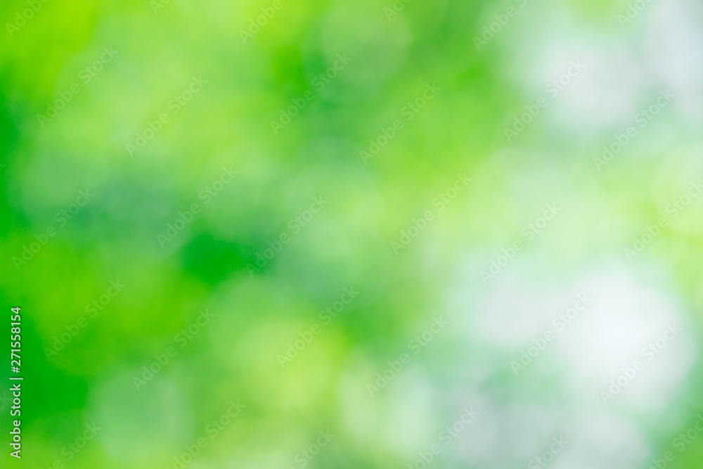 Green bokeh background from nature forest out of focus Green bokeh background from nature forest out of focus