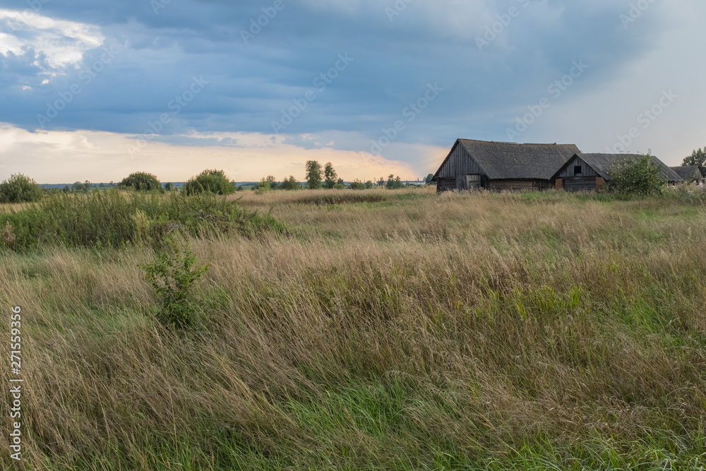 Rural landscape in summer in Belarus. Countryside Rural landscape in summer in Belarus. Countryside