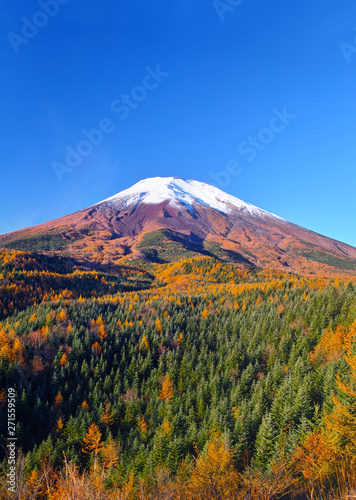 紅葉シーズンの富士山