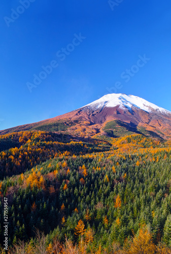 紅葉シーズンの富士山