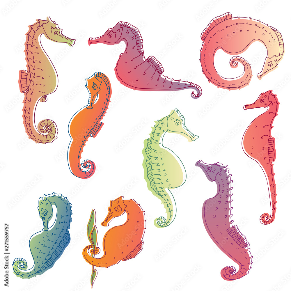 Set of images of sea horses. Vector illustration. Set of images of sea horses. Vector illustration.