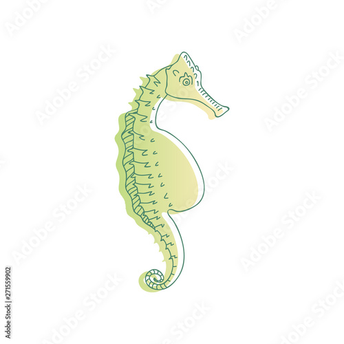 Seahorse is green with a big belly  encircled by a thin black outline. Vector illustration