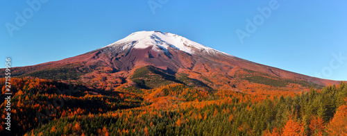 紅葉シーズンの富士山
