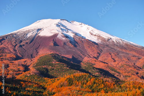 紅葉シーズンの富士山