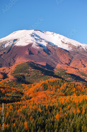 紅葉シーズンの富士山