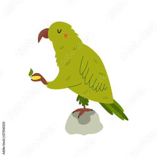 New Zealand funny kea eating fruit.