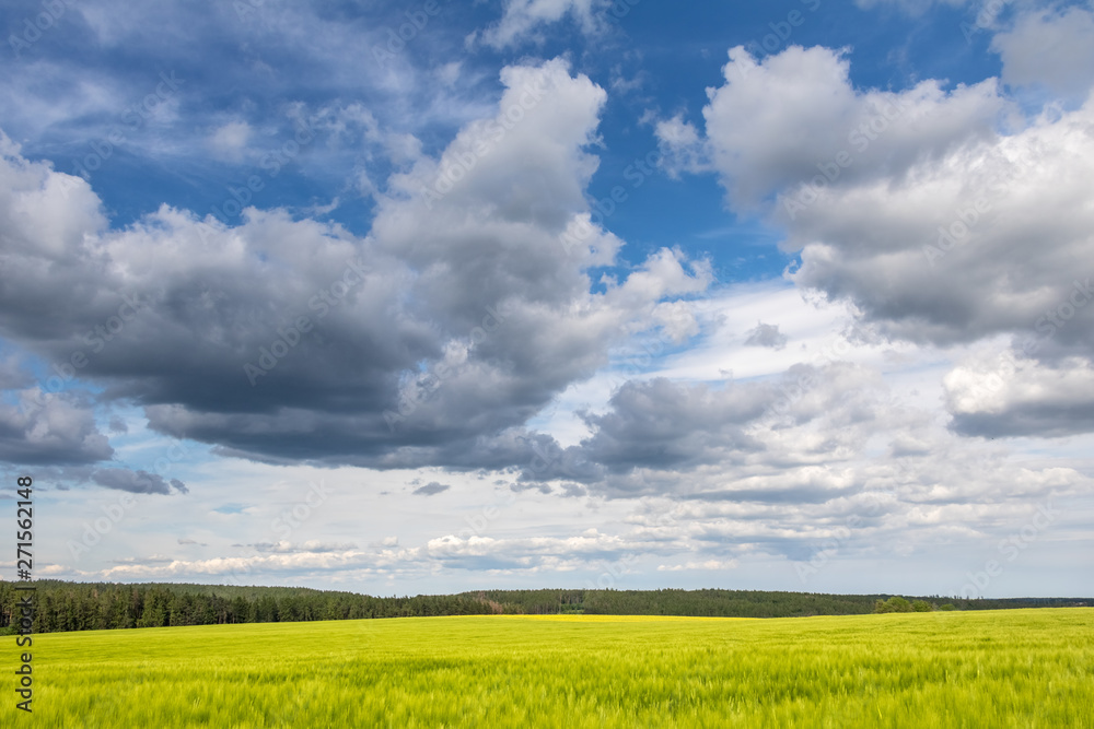 Spring or summer landscape under cloudy sky Spring or summer landscape under cloudy sky