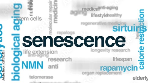 Senescence animated word cloud. Kinetic typography. photo