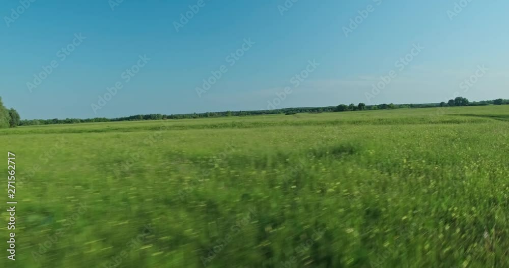 Movement on a dirt country road. Aerial shot. Beautiful landscape with green grass and blue cloudy sky. Beautiful meadow with spring flowers. Field flowers. Green field with yellow flowers. Movement on a dirt country road. Aerial shot. Beautiful landscape with green grass and blue cloudy sky. Beautiful meadow with spring flowers. Field flowers. Green field with yellow flowers.
